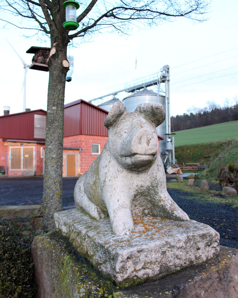 Statur eines Schweins aus Stein vor dem Hof